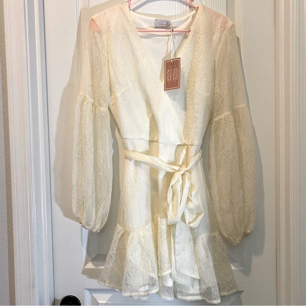 Anthropologie I Champagne and Strawberry Embossed Organza Faux Wrap Mini Dress - Picture 2 of 7